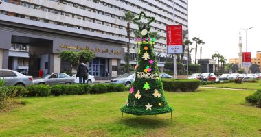 نظافة القاهرة تنشر أشجار الكريسماس بالشوارع لاستقبال العام الجديد.. صور