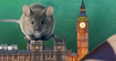 فئران خارقة تحتل البرلمان البريطانى.. اعرف الحكاية (فيديو)