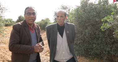 إطلاق مبادرة زراعة الجوجوبا "الذهب الأخضر" فى جنوب سيناء