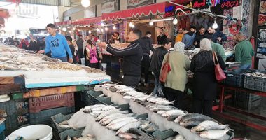 البيع على نغمات الأغانى الشعبية.. شاهد توافد الآلاف على سوق الأسماك فى بورسعيد