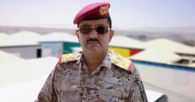 وزير الدفاع اليمنى يثمن دعم التحالف العربى لبلاده والقوات المسلحة