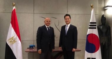 سفير مصر لدى كوريا الجنوبية: تسيير 4 رحلات شارتر إلى مصر الفترة القادمة