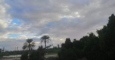 الأرصاد: أمطار رعدية بالسواحل الشمالية تمتد للقاهرة.. والصغرى بالعاصمة 11 درجة