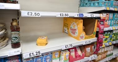 البريطانيون يتخلون عن الأطعمة الطازجة بسبب أزمة تكلفة المعيشة