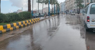 الأمطار تضرب الإسكندرية وطقس مائل للبرودة على كافة الأنحاء.. فيديو وصور