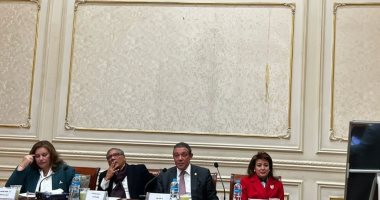 "خارجية الشيوخ" تناقش اقتراح نائب التنسيقية بتعميق التواصل مع المصريين بالخارج 