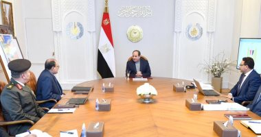 الرئيس السيسي يوجه بمواصلة جهود تنفيذ المخطط العام لتنمية شبه جزيرة سيناء 