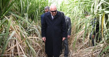 محافظ قنا يتفقد أول حقل إرشادي لزراعة محصول قصب السكر بقرية المخادمة