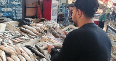 شاهد أنواع السمك والبحريات في سوق بورسعيد