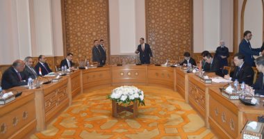 شكري: الرئيس السيسي بحث مع وزير خارجية الصين تعزيز علاقات التعاون الثنائى