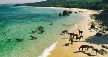 خيول برية وطبيعة ساحرة.. الشواطئ الخلابة بجزيرة سومبا الإندونيسية