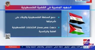 تقرير تليفزيونى حول "الجهود المصرية فى القضية الفلسطينية"