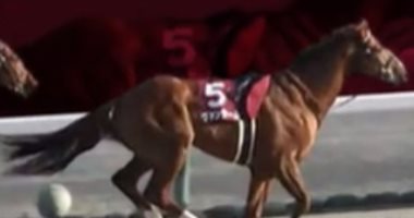 طريقة درامية.. حصان "مثير للإعجاب" يفوز بسباق فى طوكيو بعد سقوط الفارس (فيديو)