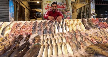 أسعار الأسماك فى الأسواق اليوم تسجل ثباتا ملحوظا