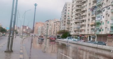 نوة الكرم.. هبوب رياح وتواصل سقوط الأمطار على الإسكندرية.. فيديو وصور