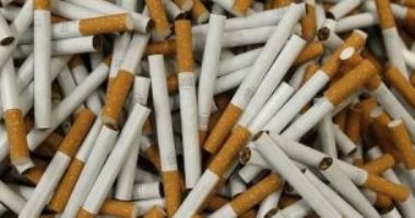 التحفظ على 6500 سيجارة مجهولة الصنع تضر بصحة المواطنين فى الإسكندرية