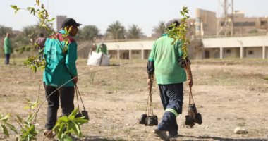 هيئة نظافة القاهرة تزرع 2500 شجرة مثمرة فى جامعة حلوان.. صور