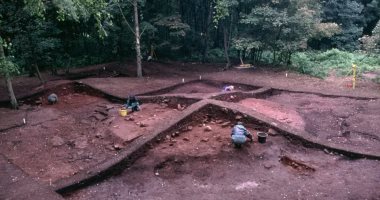 درسة حديثة تكشف دفن الفايكنج جثث الحيوانات مع بقايا البشر