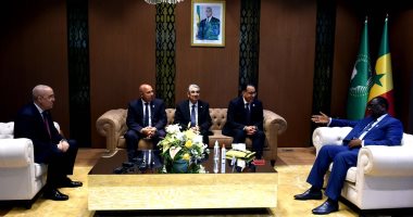 الرئيس السنغالى يلتقى ممثلى الشركات المصرية ويشيد بما تمتلكه من خبرات