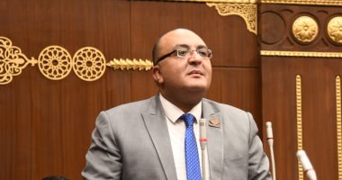 نائب التنسيقية عمرو حجاج يطالب بتعديلات تشريعية لمواجهة ظاهرة العنف الأسرى