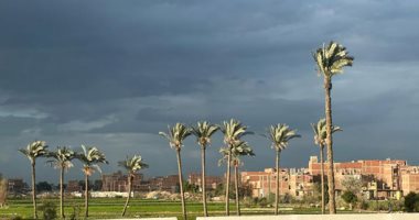 غدًا أمطار بالسواحل الشمالية قد تمتد للقاهرة والصغرى بالعاصمة 10 درجات
