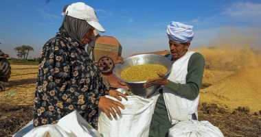 واردات مصر من القمح تسجل 545 مليون دولار فى نوفمبر الماضى