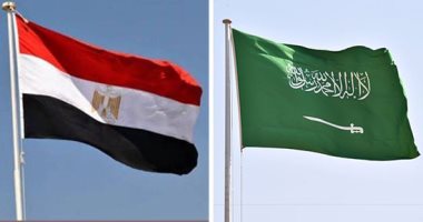 السعودية نيوز | 
                                            تعرف على أسباب ارتفاع التبادل التجارى بين مصر والسعودية 19.1% عام 2022
                                        