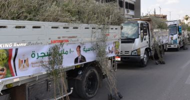 محافظة الإسماعيلية تتسلم 200 ألف شتلة ضمن المبادرة الرئاسية 100 مليون شجرة