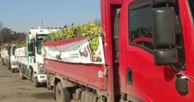 محافظة الإسماعيلية تتسلم الدفعة الثالثة من أشجار مبادرة "100 مليون شجرة"