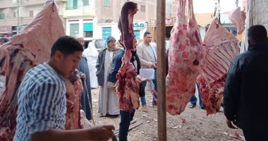 رئيس مدينة الشهداء يفتتح منفذا لبيع اللحوم بسعر 170 جنيهًا للكيلو.. صور
