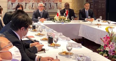 سفارة مصر بطوكيو تستضيف مائدة مستديرة للترويج للمنطقة الاقتصادية لقناة السويس