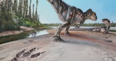 اكتشاف بصمة مخلوق عملاق على ساحل الديناصورات فى المملكة المتحدة.. صور