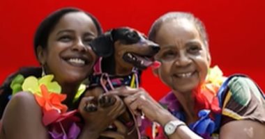 مسابقة أزياء "الكلاب" تصنع الحدث فى شوارع ريو دى جانيرو.. فيديو