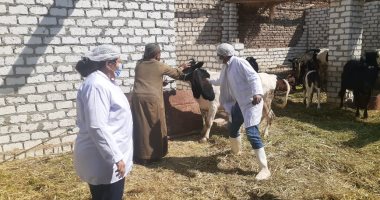 "الطب البيطرى" تنظم قافلة لعلاج الماشية بمحافظة المنيا