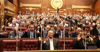 عضو بمجلس الشيوخ: مقبرة الخالدين تؤكد أن مصر تولى اهتماما كبيرا بتاريخ العظماء
