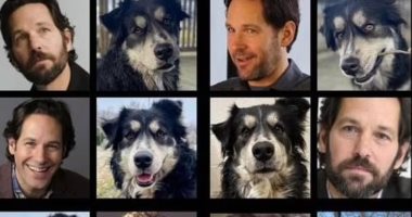مأوى حيوانات أمريكى يدعو الفنان بول رود لتبنى أحد الكلاب بطريقة لطيفة.. صور