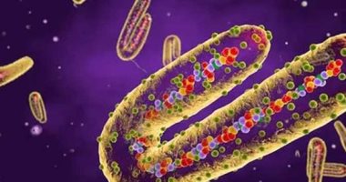 احذر فيروس الزومبي الجديد.. العلماء يعيدون اكتشافه بعد تجمده لـ50 ألف عام