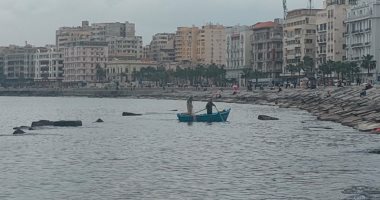 استقرار حالة البحر وممارسة الصيد في الإسكندرية.. صور