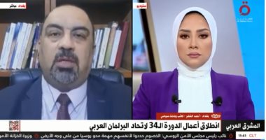 كاتب سياسي عراقي: مصر لها الفضل الكبير في عودة العراق للحضن العربي
