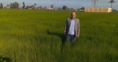 مدير إدارة ديرب نجم الزراعية: إجمالى مساحة محصول الكتان 200 فدان