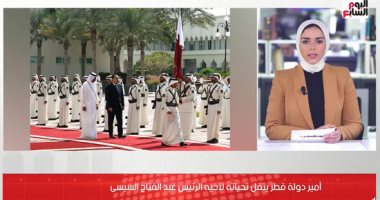 أمير قطر: مصر وقطر أشقاء (فيديو)