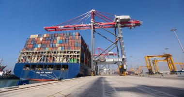ميناء الإسكندرية تتداول 275 ألف طن من مختلف أنواع البضائع خلال 48 ساعة