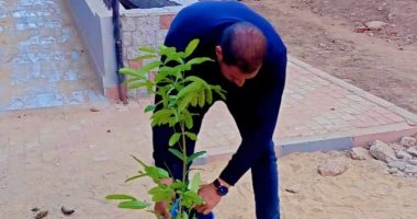 زراعة أشجار مثمرة ببني حرام بمركز ديرمواس ضمن مبادرة "100 مليون شجرة"