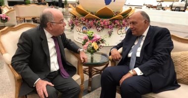 وزير الخارجية ونظيره البرازيلى يؤكدان أهمية تنشيط اتفاقية التجارة الحرة بين مصر والميركسور