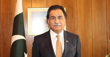 وزير الشئون الاقتصادية الباكستانى: نتطلع لتعزيز التعاون الاقتصادى والسياحى مع مصر