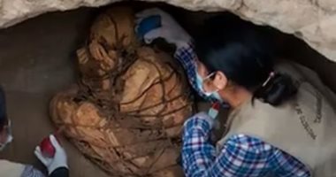 العثور على مومياء عمرها 800 عام داخل حقيبة لص فى بيرو.. فيديو
