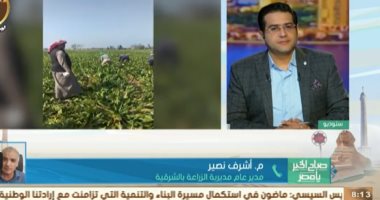مدير الزراعة بالشرقية: زرعنا 90 ألف فدان بنجر سكر فى الموسم الحالى