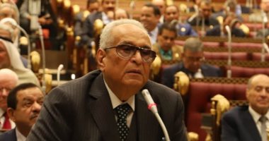 بهاء أبو شقة يطالب بمنظومة قانونية تحكم عمل المصريين بالخارج  