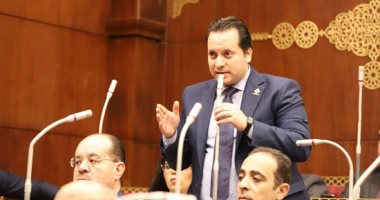 نائب التنسيقية يقترح عقد اتفاقيات لدخول المصريين معارض الآثار العالمية مجانا
