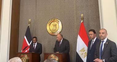 وزير الخارجية: ندعو إثيوبيا لاتفاق حول سد النهضة.. ومصر ستحمى حقوقها المائية